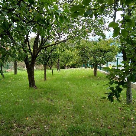 Vila Zvoncica Vrdnik Bagian luar foto