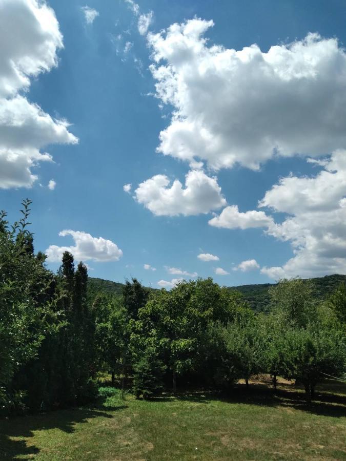 Vila Zvoncica Vrdnik Bagian luar foto