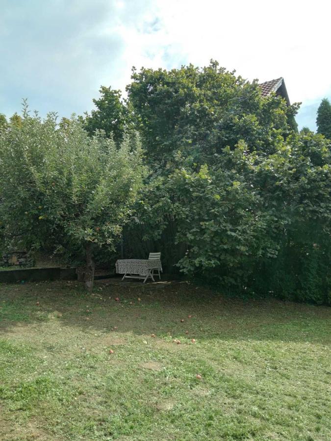 Vila Zvoncica Vrdnik Bagian luar foto