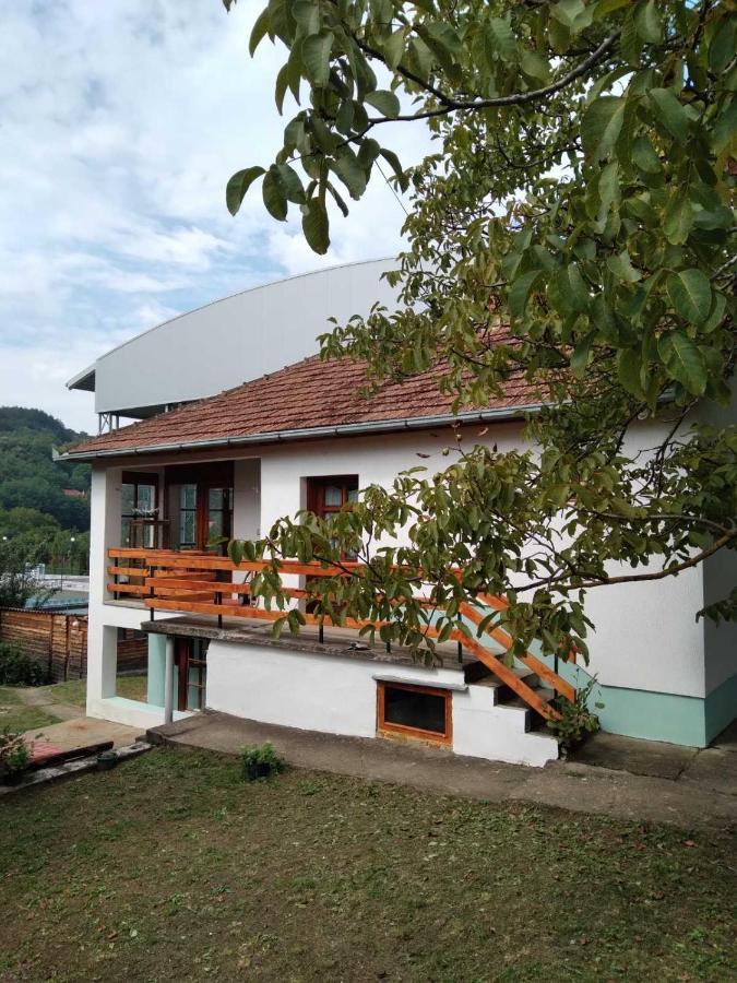 Vila Zvoncica Vrdnik Bagian luar foto