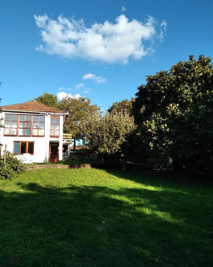 Vila Zvoncica Vrdnik Bagian luar foto