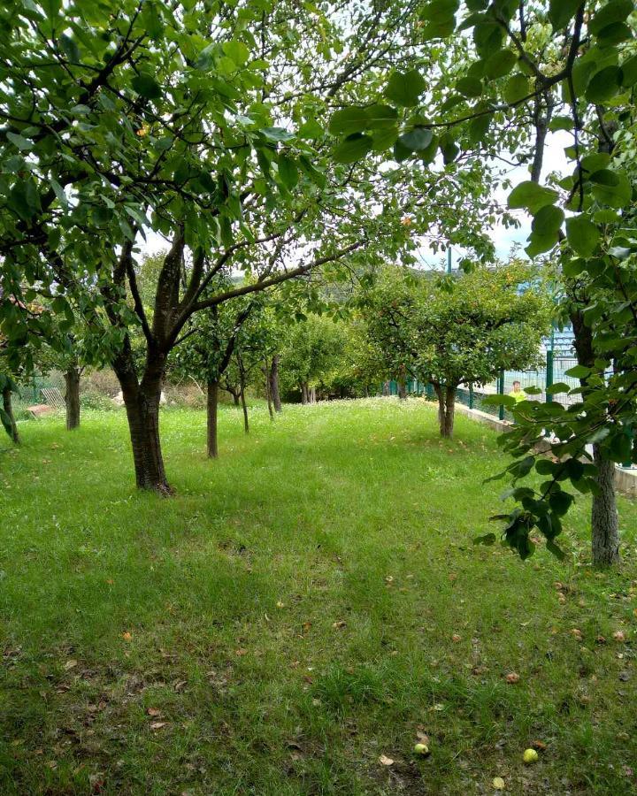Vila Zvoncica Vrdnik Bagian luar foto